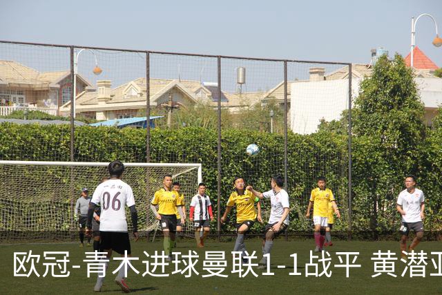 欧冠-青木进球曼联1-1战平 黄潜亚特兰大明日决胜